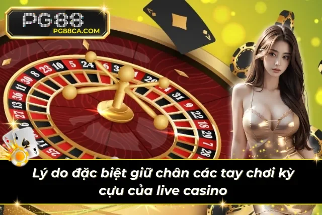 Bến đỗ hoàn hảo cho các tay chơi casino kỳ cựu