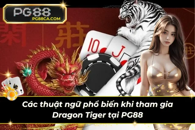 03 thuật ngữ cần phải biết, khi muốn làm chủ game casino Dragon Tiger